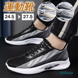 Xj[J[ Y EH[LOV[Y jOV[Y JWA ^C [Jbg y r X|[cV[Y ɂ g[jOV[Y