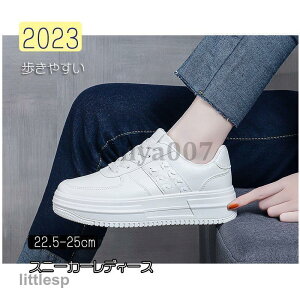 Xj[J[ fB[X  C X|[cV[Y V[Y ~ r r ₷ Ȃ ɂȂ Vv ʋ ʊw  2023V