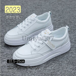 Xj[J[ fB[X C X|[cV[YV[Y ~ 20 3040 ₷ Ȃ ɂȂ ʋC Vv ʋ ʊw  2023V