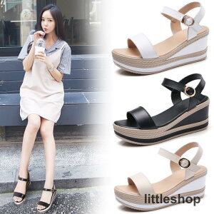 T_ fB[X  X|[cT_ fB[X ʋC ~ X|[cV[Y T_ t  ₷B