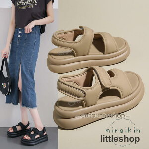 T_ xNX|[cT_ Xgbv X|[cT_ fB[X  T_ X|T C ăV[Y ][g   25cm AWA