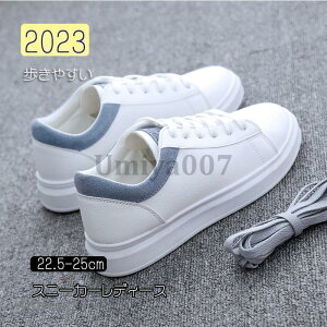 Xj[J[ fB[X C X|[cV[YV[Y ~ 20 3040 ₷ Ȃ ɂȂ ʋC Vv ʋ ʊw  2023V