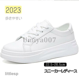 Xj[J[ fB[X  C X|[cV[Y V[Y ~ r r ₷ Ȃ ɂȂ Vv ʋ ʊw  2023V