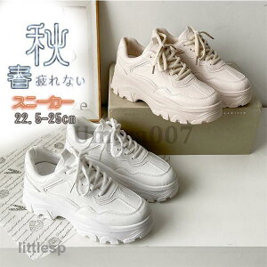 Xj[J[ fB[X  C X|[cV[Y V[Y ~ r r ₷ Ȃ ɂȂ Vv ʋ ʊw 