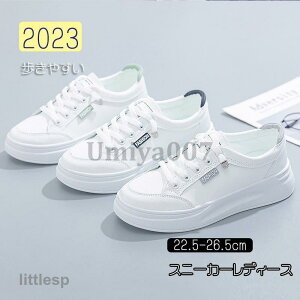 Xj[J[ fB[X  C X|[cV[Y V[Y ~ r r ₷ Ȃ ɂȂ Vv ʋ ʊw  2023V