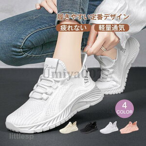 fB[X V[Y r tbgV[Y JWA ₷ l t X|[c EH[LO fB[XV[Y Ȃ ʋ ʊw