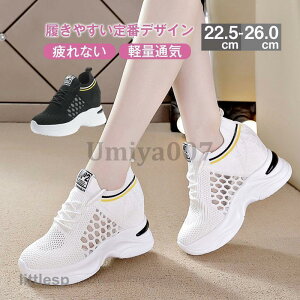 V Cq[ r Xj[J[ fB[X V[Y r wlC  Ȃ JWA [X t fB[XV[Y