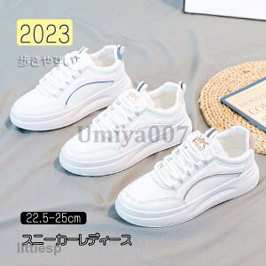 Xj[J[ fB[X  C X|[cV[Y V[Y ~ r r ₷ Ȃ ɂȂ Vv ʋ ʊw  2023V