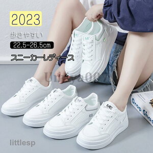 Xj[J[ fB[X  C X|[cV[Y V[Y ~ r r ₷ Ȃ ɂȂ Vv ʋ ʊw  2023V