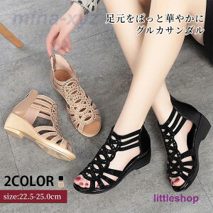 T_ fB[X ₷   NbV r l C LL V[Y ʋ IV EFb\[ 23N 