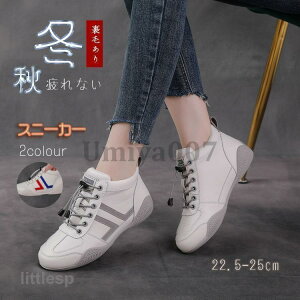 H~Xj[J[ fB[X C X|[cV[Y V[Y ~ r r ₷ Ȃ ɂȂ Vv ʋ ʊw 