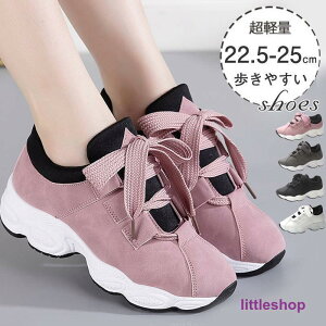 Xj[J[ fB[X X|[cV[Y V[Y  EH[LO jO JWA Vv AEghA t@bV ʊw R[f w