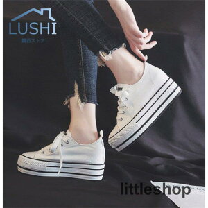 Xj[J[ fB[X Cq[ C LpX V[NbgV[Y Xb| [Jbg  8cm ʊw Vv  