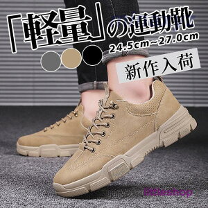 Xj[J[ Y y ₷ X|[c  U[ JWA jOV[Y StV[Y EH[LOV[Y 傫TCY  ^C
