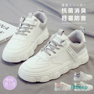 Xj[J[ fB[X   _bhV[Y C [Jbg [XAbv r ^C ؍  