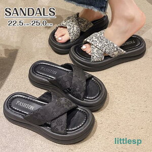 T_ NXxgT_ fB[X  T_ Xbp xgT_ y^RT_ fB[XT_ V[Y AEghA