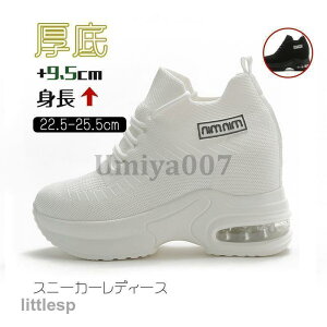 Xj[J[ fB[X  C X|[cV[Y V[Y ~ r r ₷ Ȃ ɂȂ ʋC Vv ʋ ʊw 