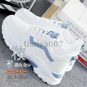 Xj[J[ fB[X  C X|[cV[Y V[Y ~ r r ₷ Ȃ ɂȂ Vv ʋ ʊw  2023V