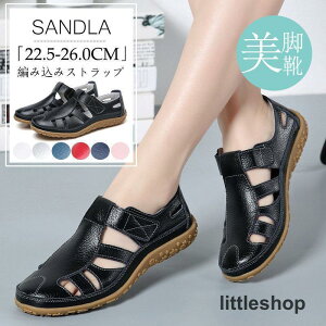 T_ fB[X XgbvT_ 傫TCYr [q[ AEghA }WbNe[vU[X|[cT_ ₷ JWAV[Y