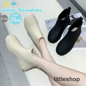 CV[Y fB[X Cu[c Sh V[gu[c C u[c CV[Y  h ₷ ubN x[W 傫TCY