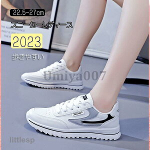 Xj[J[ fB[X C X|[cV[YV[Y ~ 20 3040 ₷ Ȃ ɂȂ ʋC Vv ʋ ʊw  2023V