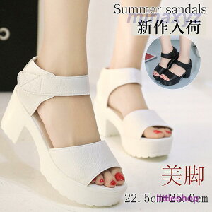 T_ fB[X V[Y  E\[ U[ pu  NbV q[ T}[u[c  JWA 