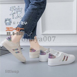 Xj[J[ fB[X C X|[cV[YV[Y ~ 20 3040 ₷ Ȃ ɂȂ ʋC Vv ʋ ʊw  2023V