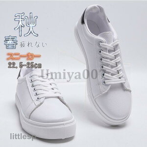 Xj[J[ fB[X C X|[cV[YV[Y ~ 20 3040 ₷ Ȃ ɂȂ ʋC Vv ʋ ʊw  2023V