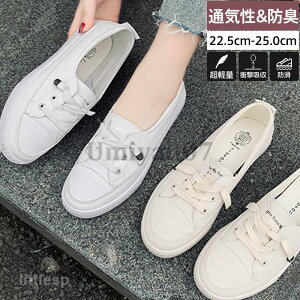 Xj[J[ fB[X [Jbg V[Y pvXXj[J[ Xb| ؂ Ȃ ₷ y Vv JWA  