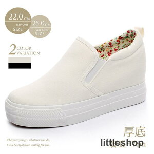 Xj[J[ fB[X  X|[c LoX V[Y q[ Cq[ ʋC Xj[J[C  ₷ ʊw Ȃ Xb| LoX