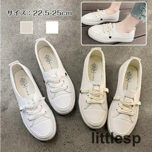 Xj[J[ C fB[X [Jbg V[Y ₷ pvXXj[J[ ₷  ʋ ʊw y PU Vv 킢 JWA