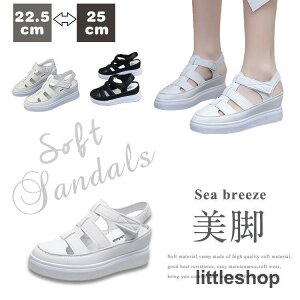 T_  r[` pvX  fB[X ʋC bNX Xgbv r ~ tbgV[Y JWA AEghA gAbv  X|bg