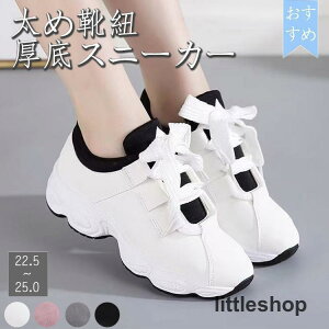 Xj[J[ ߌCR  Xj[J[ fB[X  킢  ^C V[Y C ʋ ʊw tďH~