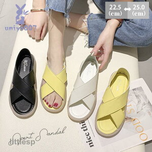 T_ fB[X X|[cT_ ₷  X|[cV[Y AEghA JWA Č tbg\[ r[`T_ ؂