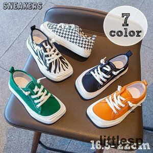 Xj[J[ LbY WjA qǂ j̎q ̎q jp ^C V[Y qC  bV ʋC [Jbg CЂ n PF 璹