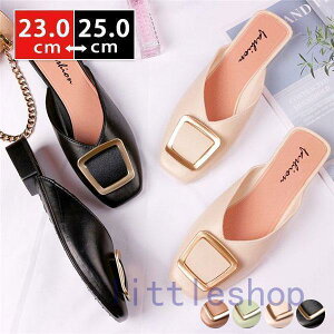 IXbp T_ fB[X pvX ؂ r[ItBX@JWA V[Y ɂ  r ₷