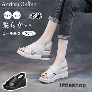 T_  r[` v {v fB[X ʋC bNX RtH[g  ₷ r ~ JWAV[Y AEghA ̓ v[g