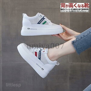 Xj[J[ fB[X  jO EH[LO g[jO V[Y W y C 22.0cm?25.0cm