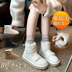 [gu[c fB[X }WbNe[v {AV[Y {A r N ؂ ~ ₷ g Vv ꂢ n