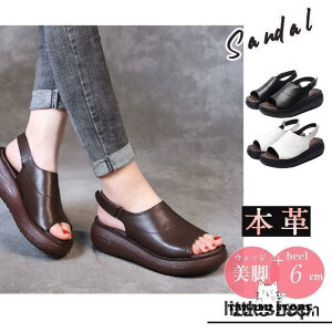 T_ {v _炩 xN fB[X  EFbW EFbW\[ ʋ ₷ V[Y Xgbv  r C RtH[g