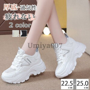 Xj[J[ Xj[J[ fB[X ~ Xj[J[ C _bhʋC V[Y ₷ Ȃ ʊwC tďH