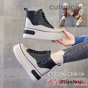 Xj[J[ fB[X V[gu[c TChWbv Cq[  7cm N V[NbgV[Y nCq[ nCJbg h