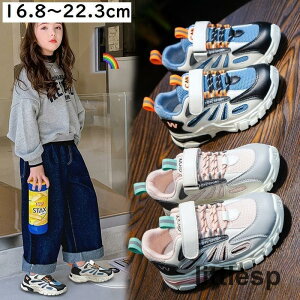 Xj[J[ LbY WjA ̎q j̎q qp ^C V[Y qC  ʊw AEghA  JWA X|[eB[