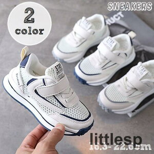 Xj[J[ LbY WjA qǂ j̎q ̎q jp ^C V[Y qC  bV ʋC C CЂ }WbNe[v 