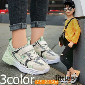 Xj[J[ LbY WjA j̎q ̎q C V[Y bV }WbNe[v JWA  ʋC ʉ ʊw w w j 