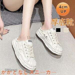 Xj[J[ ƂȂ  fB[X tbgV[Y YbNC C グ fB[X LoXV[Y Xbp T_ YbNC