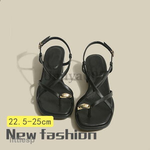 T_  fB[X X|[cT_ V[Y ₷ L Vv y RtH[gT_ 傫TCY  Ȃ