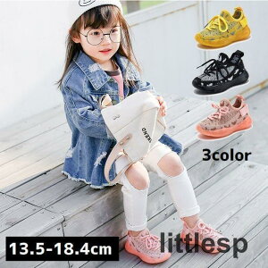 Xj[J[ C V[Y qp LbY WjA R ^C j̎q ̎q jZbNX bV ʋC qE X|[c _X OV 