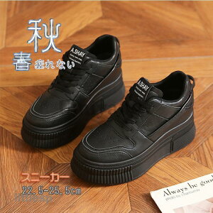 Xj[J[ fB[X  C X|[cV[Y V[Y ~ r r ₷ Ȃ ɂȂ Vv ʋ ʊw  2023V