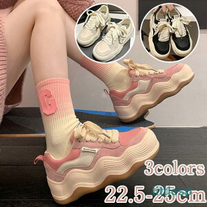  Xj[J[ fB[X ₷ ؍ jp JWAV[Y lԍHw X|[cV[Y yʐ݌v ~ r ʋCK ʊw ʋ
